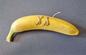 Marius Tiţa, Ceci n'est pas une banane, taxidermie, 2025